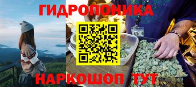 ПСИЛОЦИБИНОВЫЕ ГРИБЫ Славянск-на-Кубани